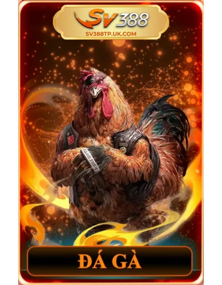 đá gà sv388