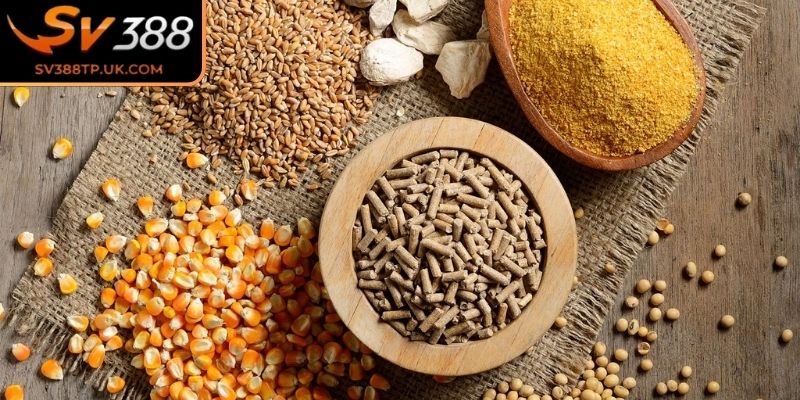 Dinh dưỡng khoa học 