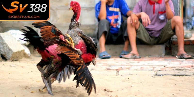 Theo dõi và chăm sóc sức khỏe 