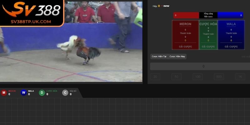 Đá Gà 4K SV388 – Trải Nghiệm Với Hình Ảnh Siêu Thực 1 Đá gà 4K SV388 là gì?