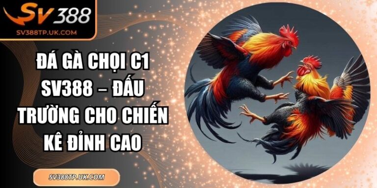 Đá Gà Chọi C1 SV388 – Đấu Trường Cho Chiến Kê Đỉnh Cao