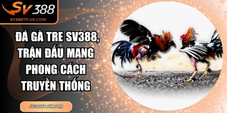 Đá Gà Tre SV388, Trận Đấu Mang Phong Cách Truyền Thống