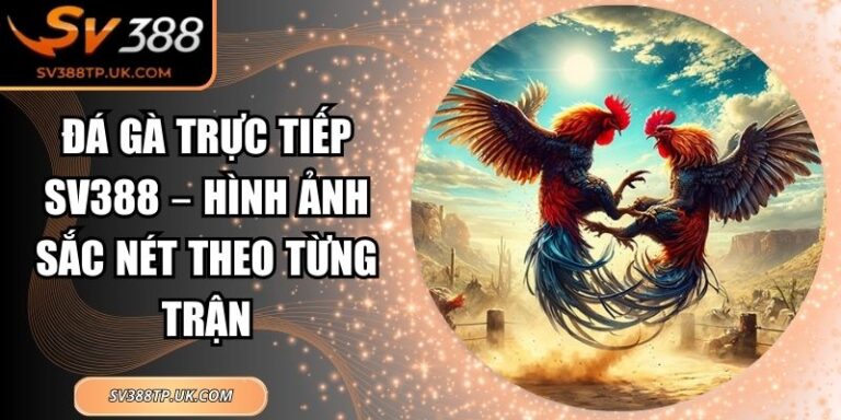 Đá Gà Trực Tiếp SV388 – Hình Ảnh Sắc Nét Theo Từng Trận